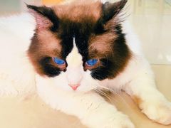 -百信宠物医院(东升街店)