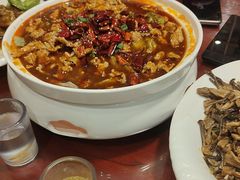 -邵年鸽(杨庄店)