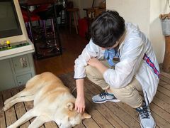 -久馆NineHouse