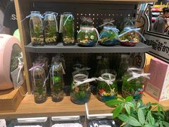 -酷乐潮玩(城西银泰城店)
