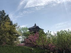 -西安青龙寺遗址景区