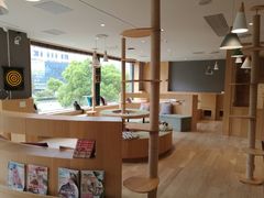 -CAT’S MEWSTAR CAFE·喵星球猫屋(晴湾咖啡店)