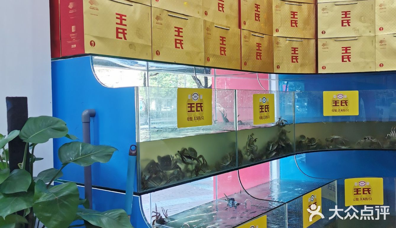 只为那只蟹-王氏大闸蟹