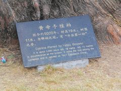 -黄帝陵
