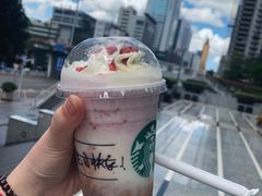 童趣三色杯星冰乐-星巴克(深圳世界金融中心店)