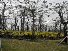 -芒洲湿地公园