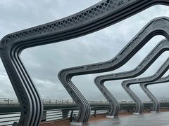-演武大桥观景平台