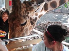 -清迈夜间动物园