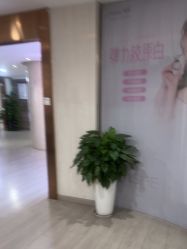-安徽合肥韩美整形外科医院