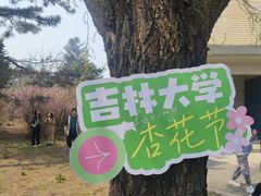 -吉林大学(南岭校区)