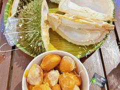 -榴莲BB 四季果园