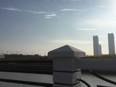 -南汇桃花村
