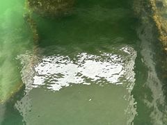 -珍珠港国家纪念馆