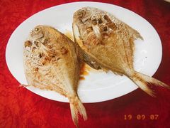-蛇口康乐快餐鱼仔档(翠苑小区店)