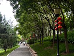 -大望京公园