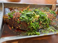-树厨贵州菜(花果园购物中心店)
