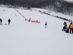 -五家山森林公园滑雪场