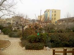 -仁爱团泊湖温泉中心