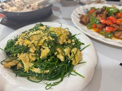 -煲来饱去冷水鱼