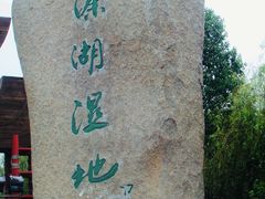 -溱湖国家湿地公园