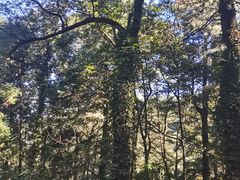 -苍山感通索道