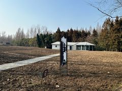 -东平国家森林公园
