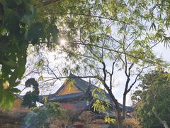 -龙华寺