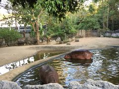 -清迈夜间动物园