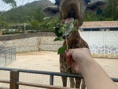 -泉州海丝野生动物世界