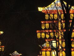 -洛阳市隋唐城遗址植物园