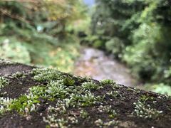 -西南交通大学(峨眉校区)