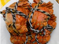 -小陆莲花蟹园农家乐(莲花岛店)