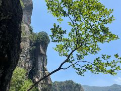 -雁荡山风景名胜区-小龙湫