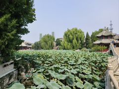 -莲池书院博物馆