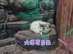 -太奥幻太奇海洋馆