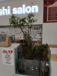 -雅仕 HAIR SALON 美发沙龙