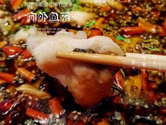 沸腾虹鳟鱼-向外鱼乐·土菜·虹鳟鱼