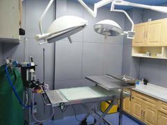 -佑安动物医院·全科·内窥镜中心(幸福巷店)