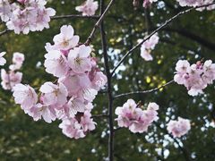 -静安雕塑公园