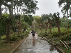 -红色娘子军纪念园