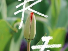 -徐家汇公园
