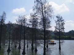 -顺峰山公园