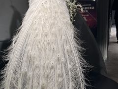 -滇野云南野生菌餐厅(陕西南路店)