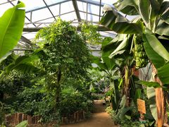 -呀路古热带植物园