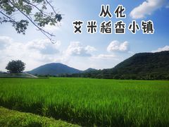 -艾米稻香小镇