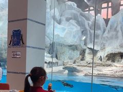 -帝企鹅自助餐厅•儿童岛•真企鹅(长隆企鹅酒店)