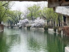 -颐和园