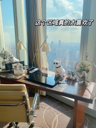 -大美母婴月子专护中心(紫峰店)