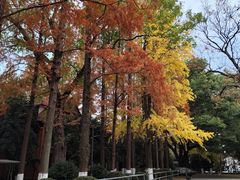 -苏州大学(天赐庄校区)