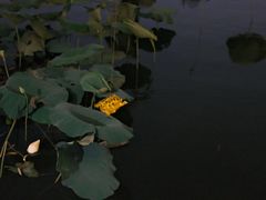 -西湖天地